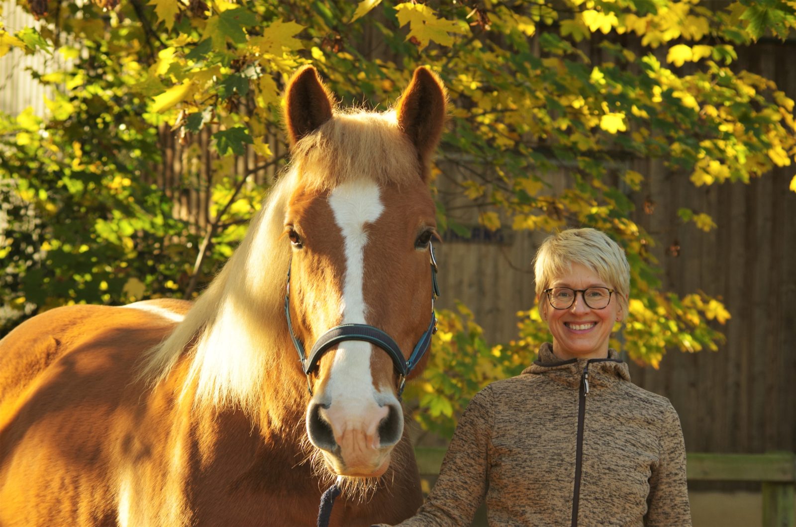 Daniela Halbfas mit ihrem Pferd