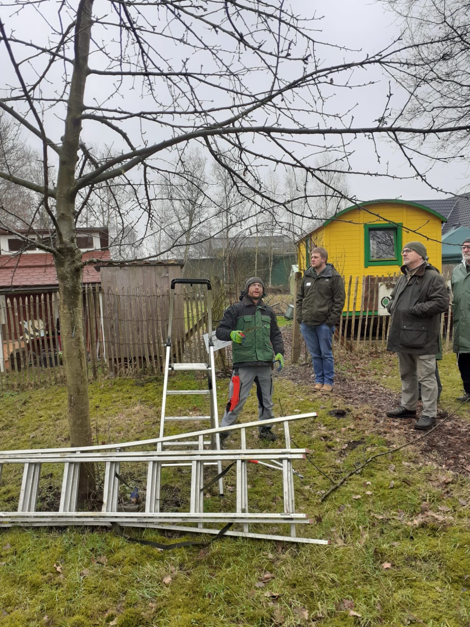 Nur die Harten kommen in den Garten - Cuxverein