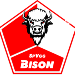 SpVgg BISON e.V. 2020